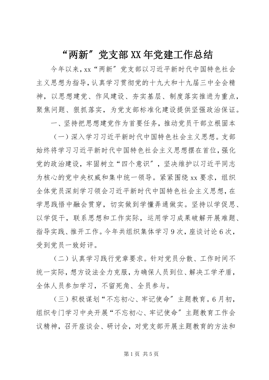 2023年“两新”党支部党建工作总结新编.docx_第1页