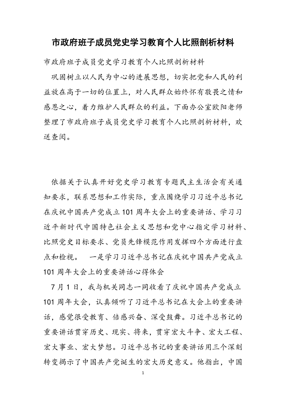 2023年市政府班子成员党史学习教育个人对照剖析材料.doc_第1页