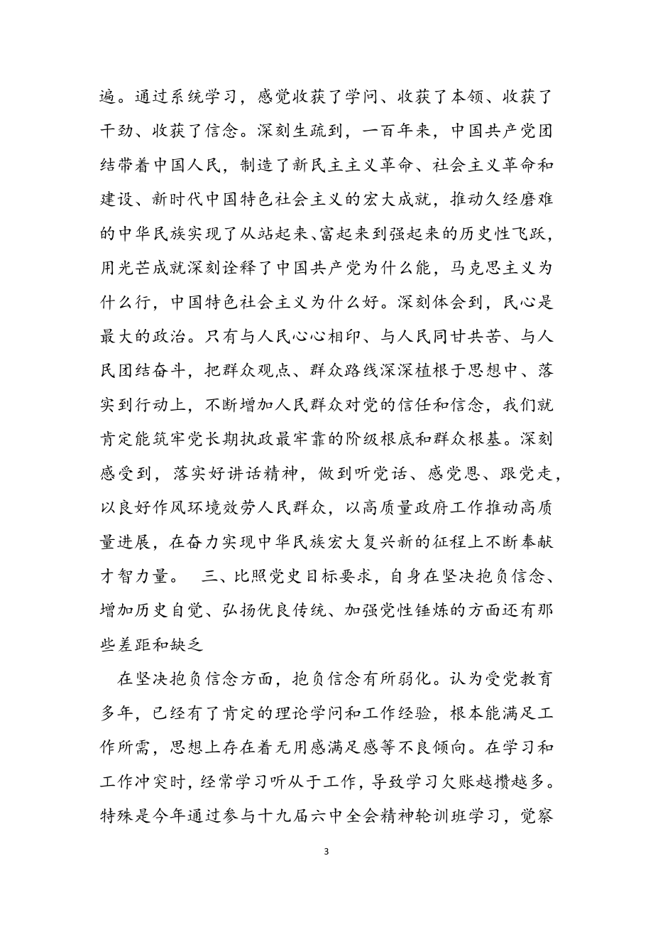 2023年市政府班子成员党史学习教育个人对照剖析材料.doc_第3页