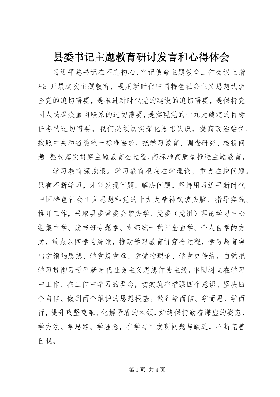 2023年县委书记主题教育研讨讲话和心得体会.docx_第1页