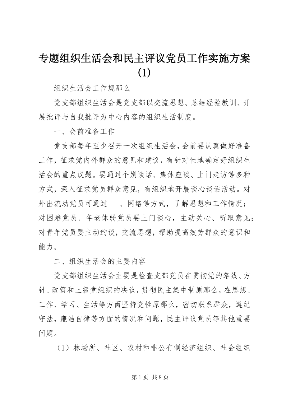 2023年专题组织生活会和民主评议党员工作实施方案1.docx_第1页