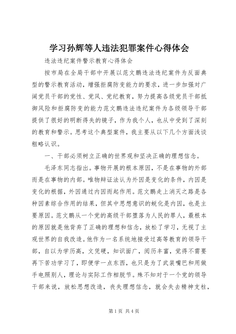 2023年学习孙辉等人违法犯罪案件心得体会.docx_第1页