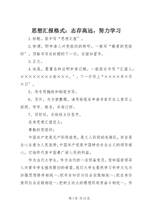 2023年思想汇报格式志存高远努力学习.docx