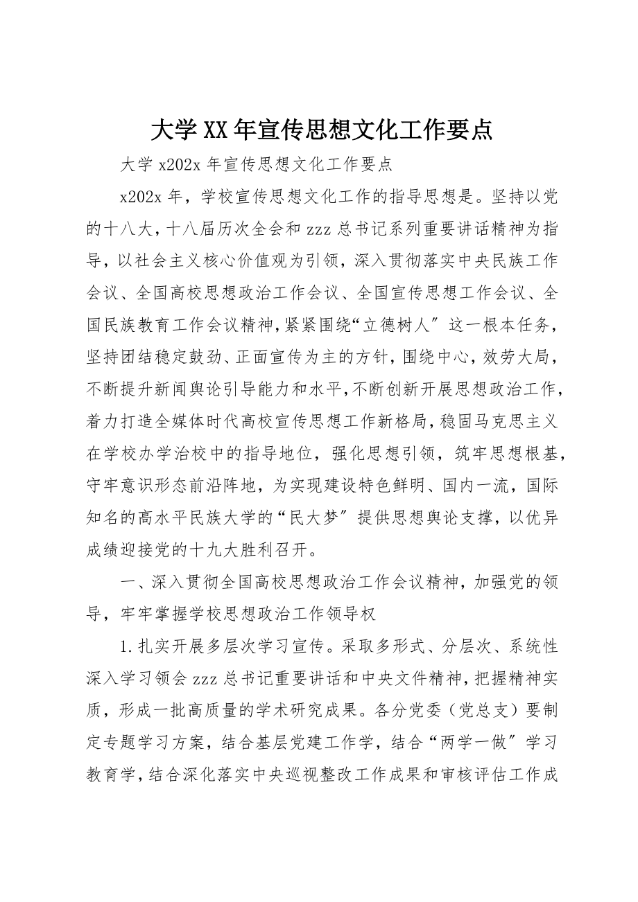 2023年大学某年宣传思想文化工作要点.docx_第1页