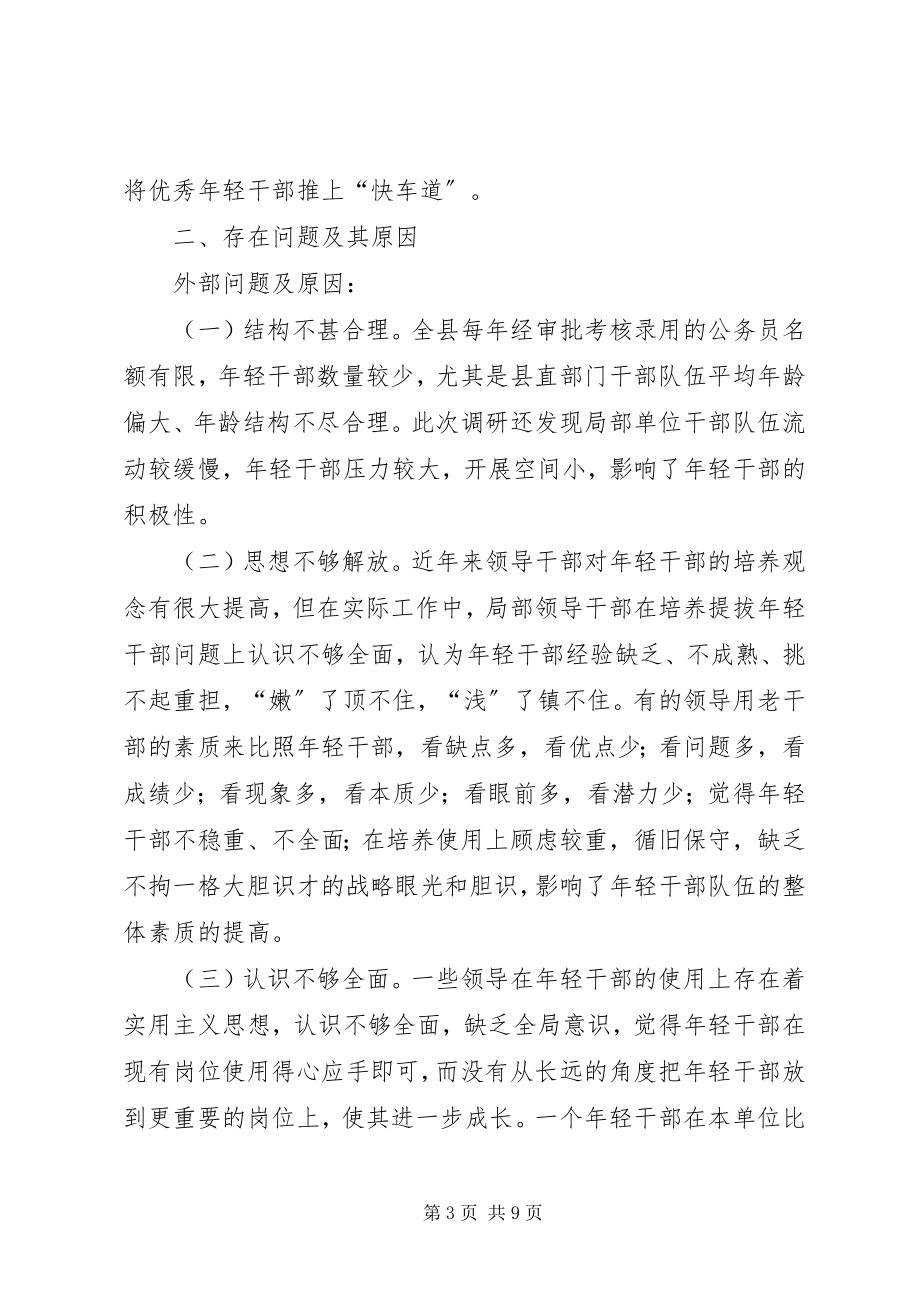 2023年对于我县年轻干部培养管理的调查与思考.docx_第3页