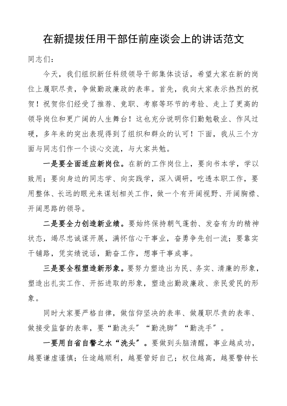 廉政谈话会讲话在新提拔任用干部任前座谈会上的讲话新任科级领导干部集体谈话领导讲话范文.doc_第1页