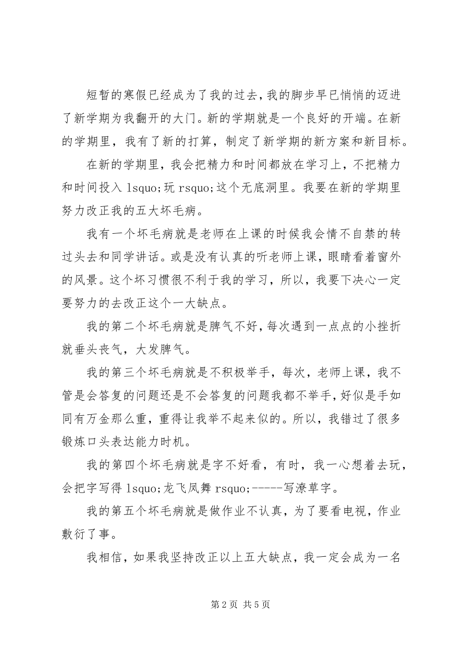 2023年新学斯计划总结模板内容优秀范本.docx_第2页