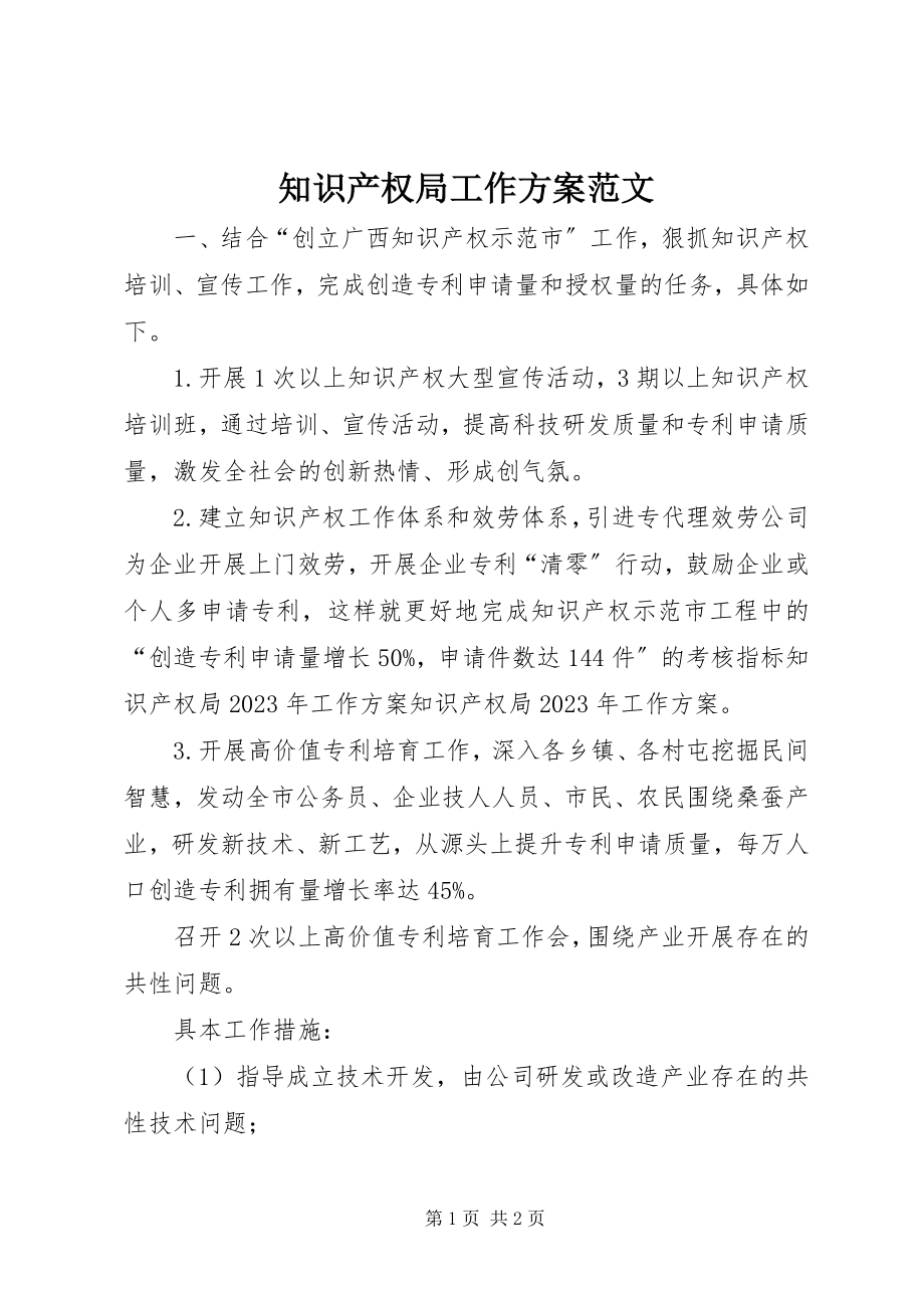 2023年知识产权局工作计划.docx_第1页