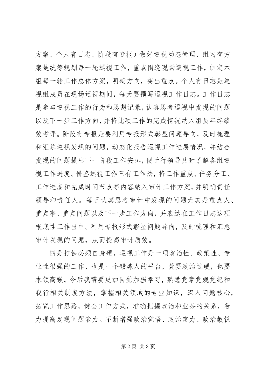 2023年参加总行党委巡视工作心得体会新编.docx_第2页