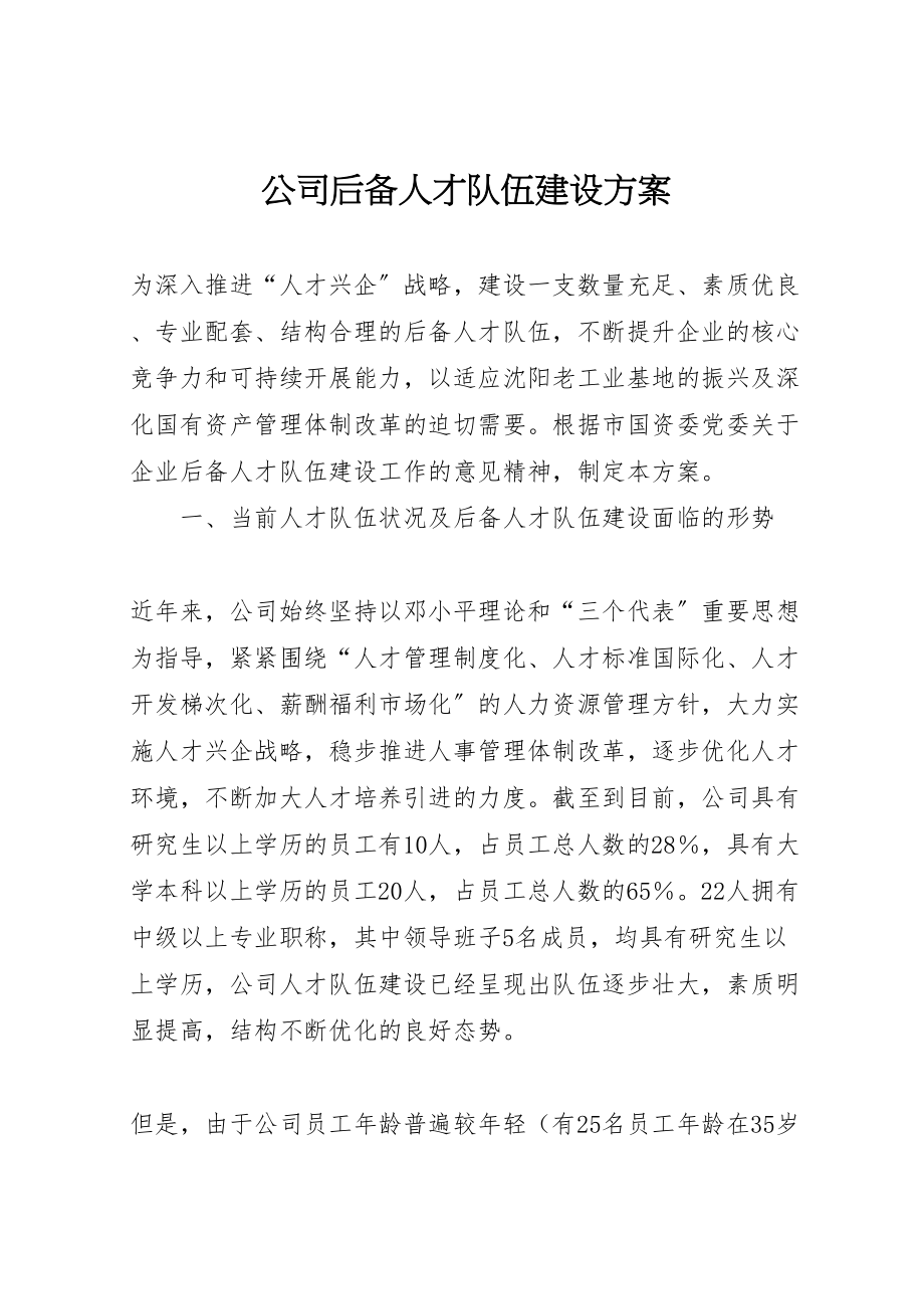 2023年公司后备人才队伍建设方案.doc_第1页