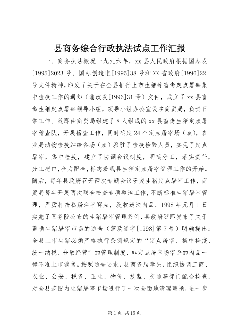 2023年县商务综合行政执法试点工作汇报.docx_第1页