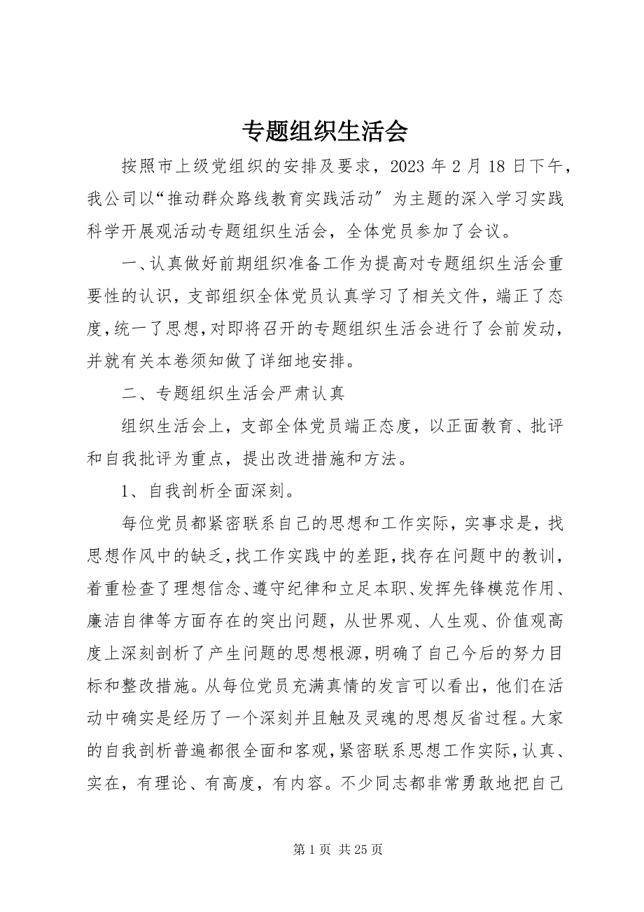 2023年专题组织生活会.docx_第1页