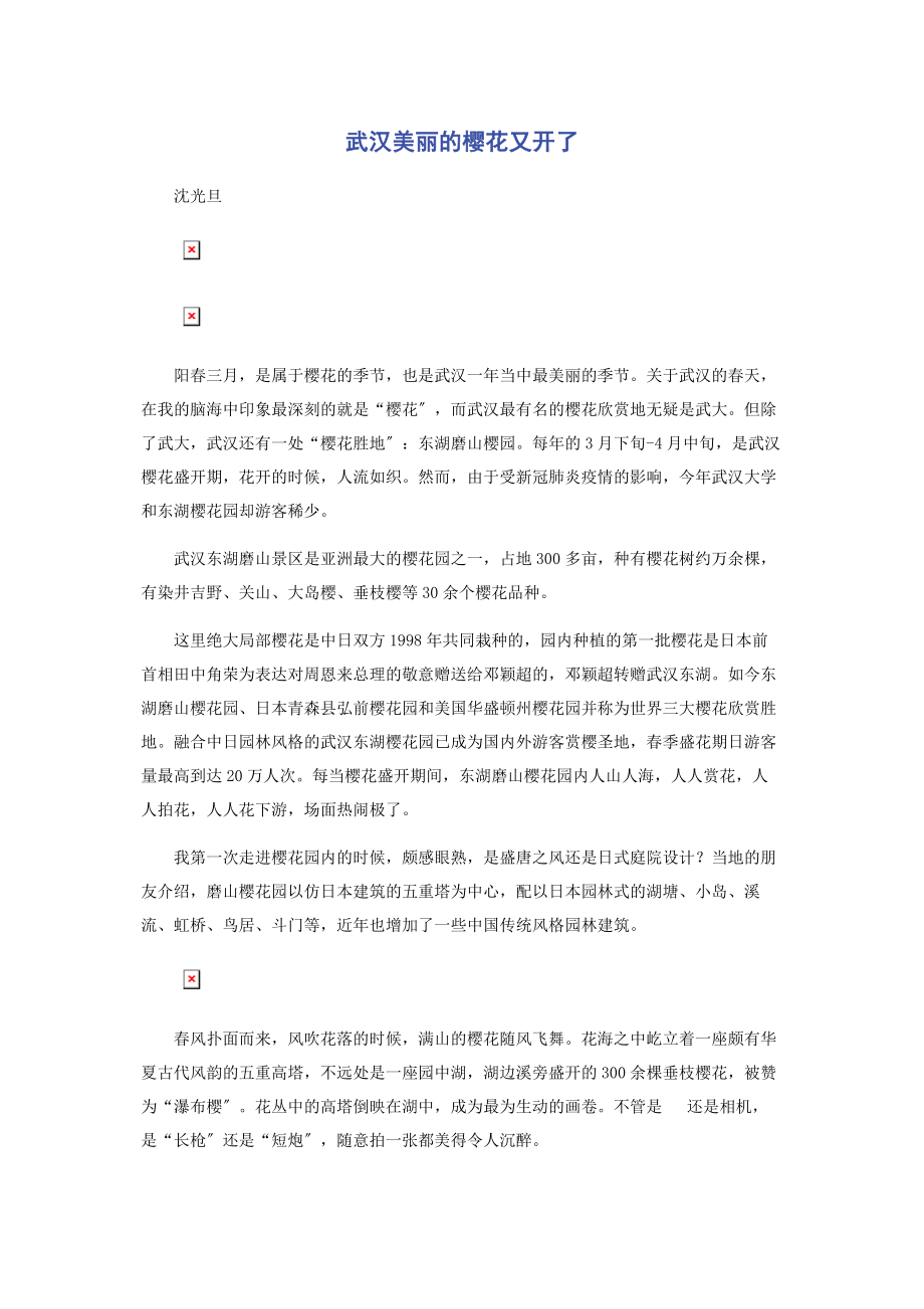 2023年武汉美丽的樱花又开了.docx_第1页