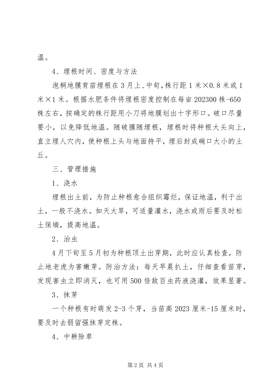 2023年县公司泡桐育苗方案.docx_第2页