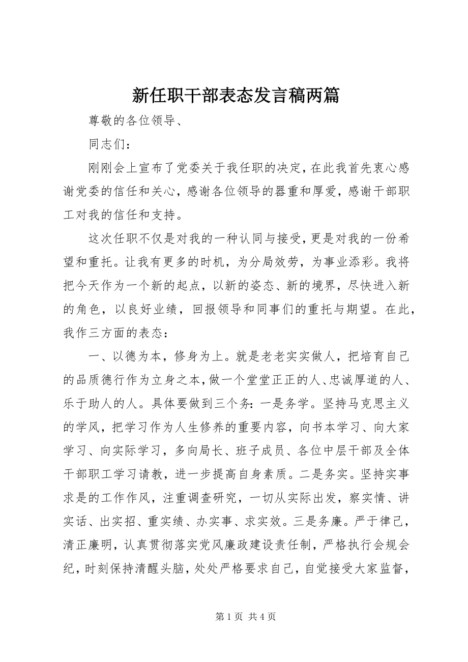 2023年新任职干部表态讲话稿两篇.docx_第1页