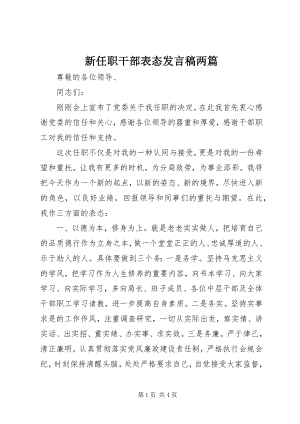 2023年新任职干部表态讲话稿两篇.docx