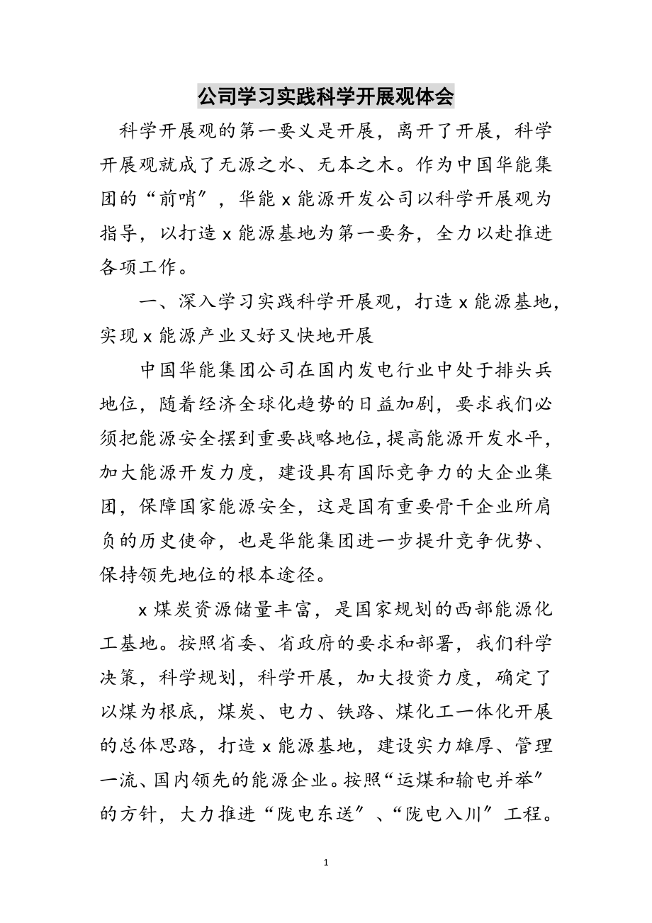 2023年公司学习实践科学发展观体会范文.doc_第1页