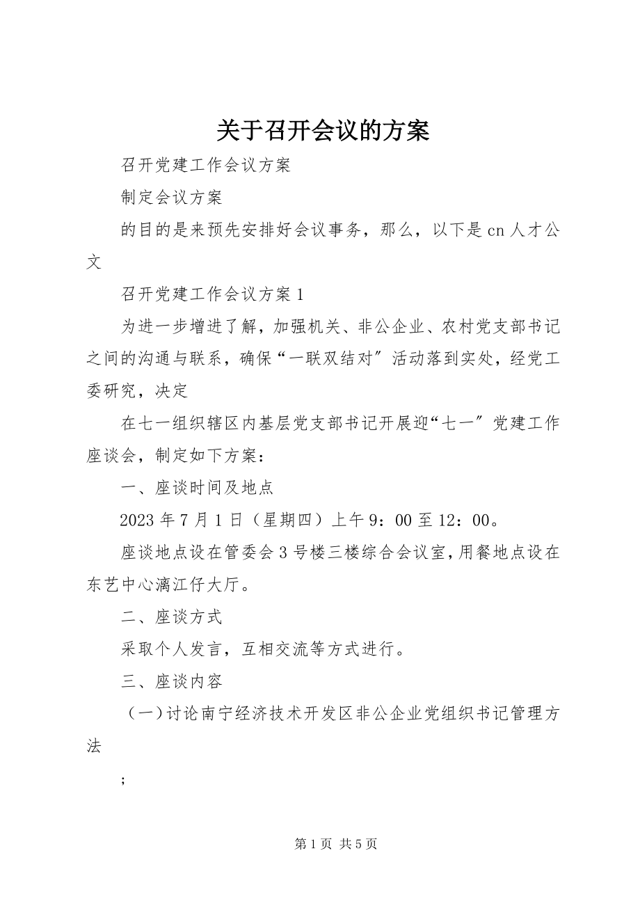 2023年召开会议的方案.docx_第1页