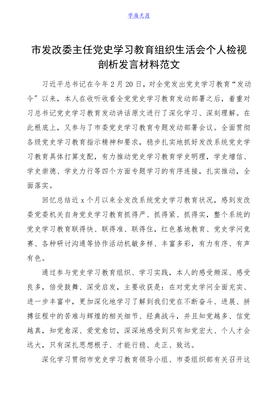 2023年个人对照检查材料市发改委主任党史学习教育组织生活会个人检视剖析发言材料发言提纲.doc_第1页