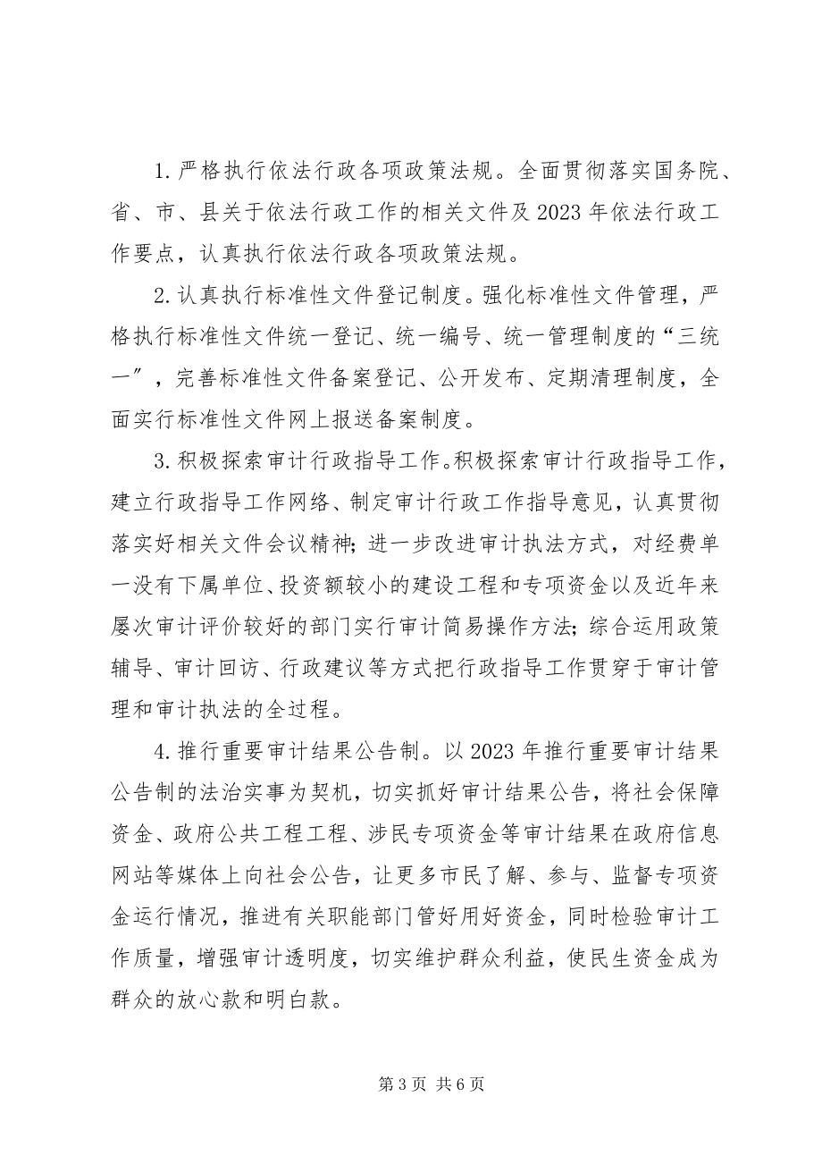 2023年审计局依法行政工作计划.docx_第3页