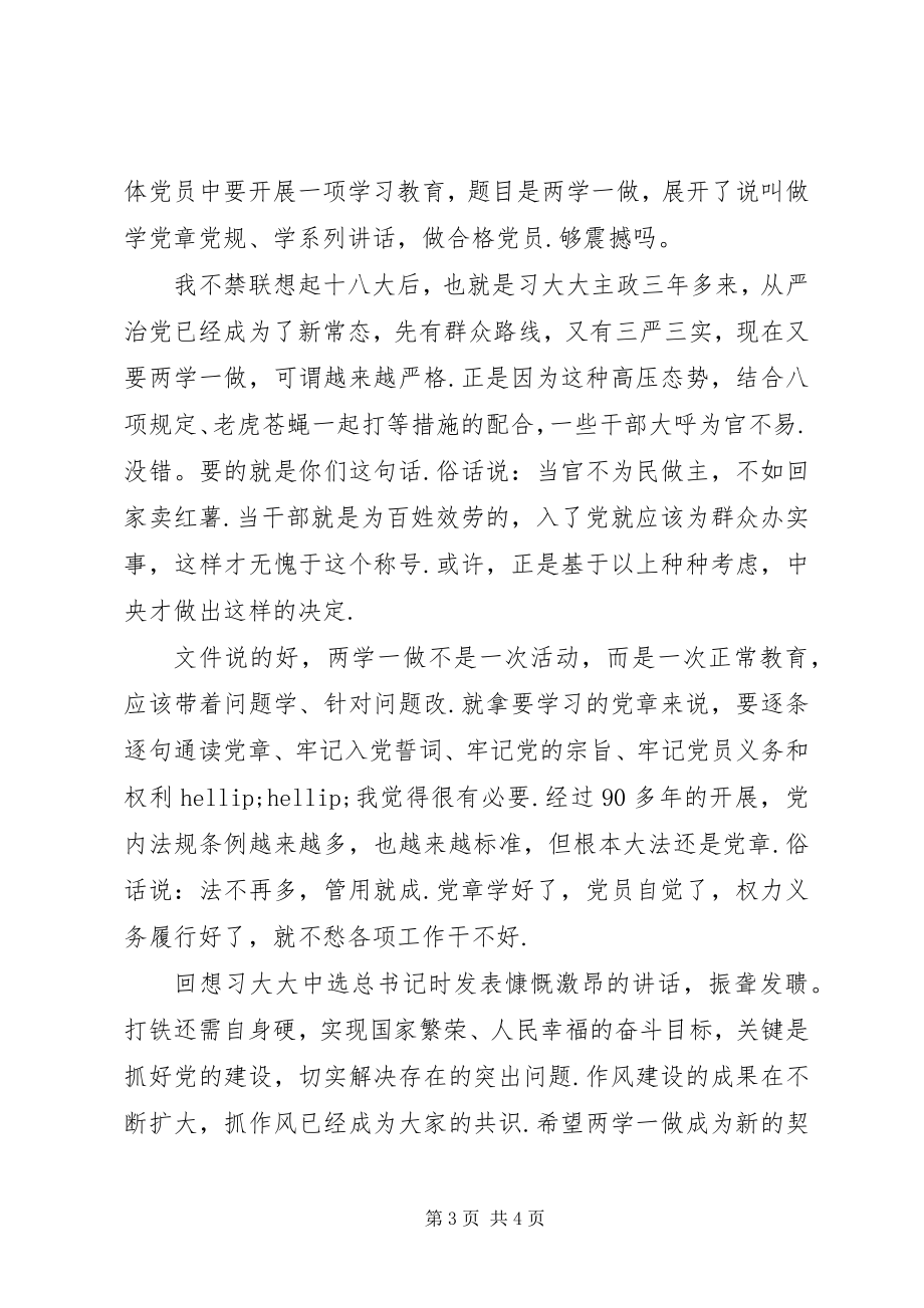 2023年两学一做心得体会-党员两学一做学习教育心得体会.docx_第3页