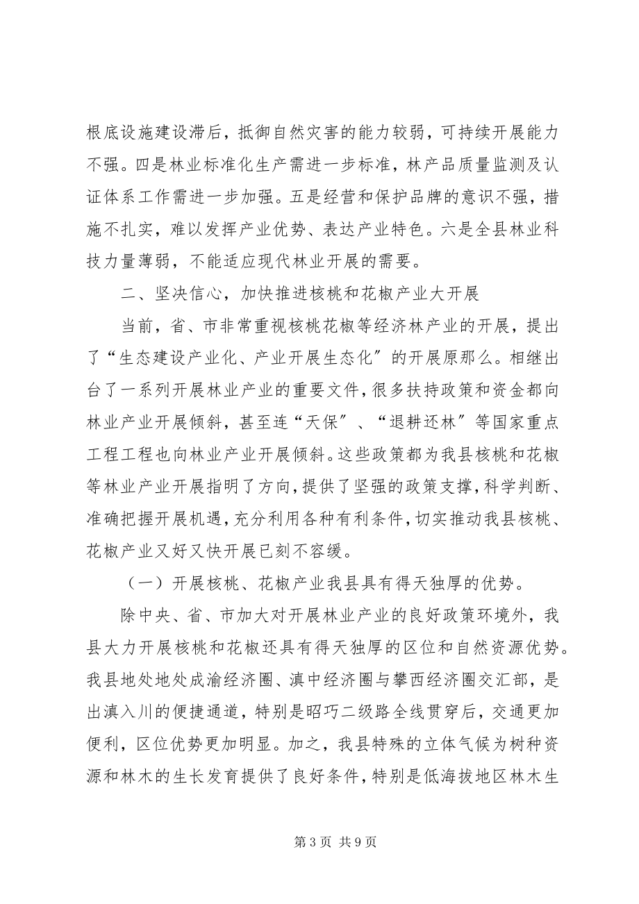 2023年副县长在全县林业产业发展现场会议上的致辞.docx_第3页