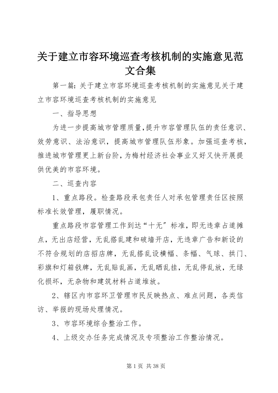 2023年建立市容环境巡查考核机制的实施意见合集.docx_第1页