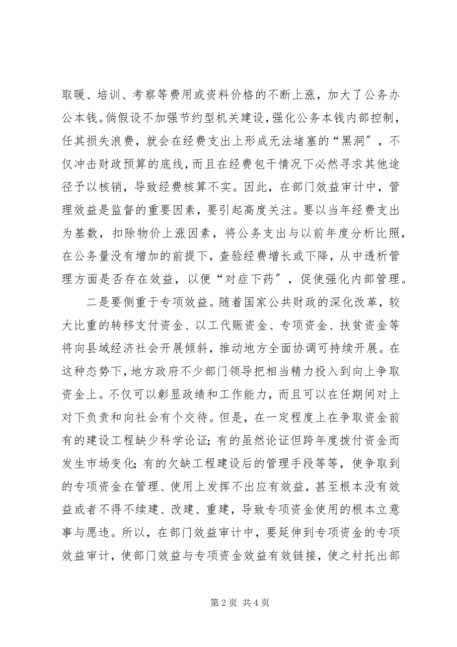 2023年基层审计效益选项思考.docx_第2页