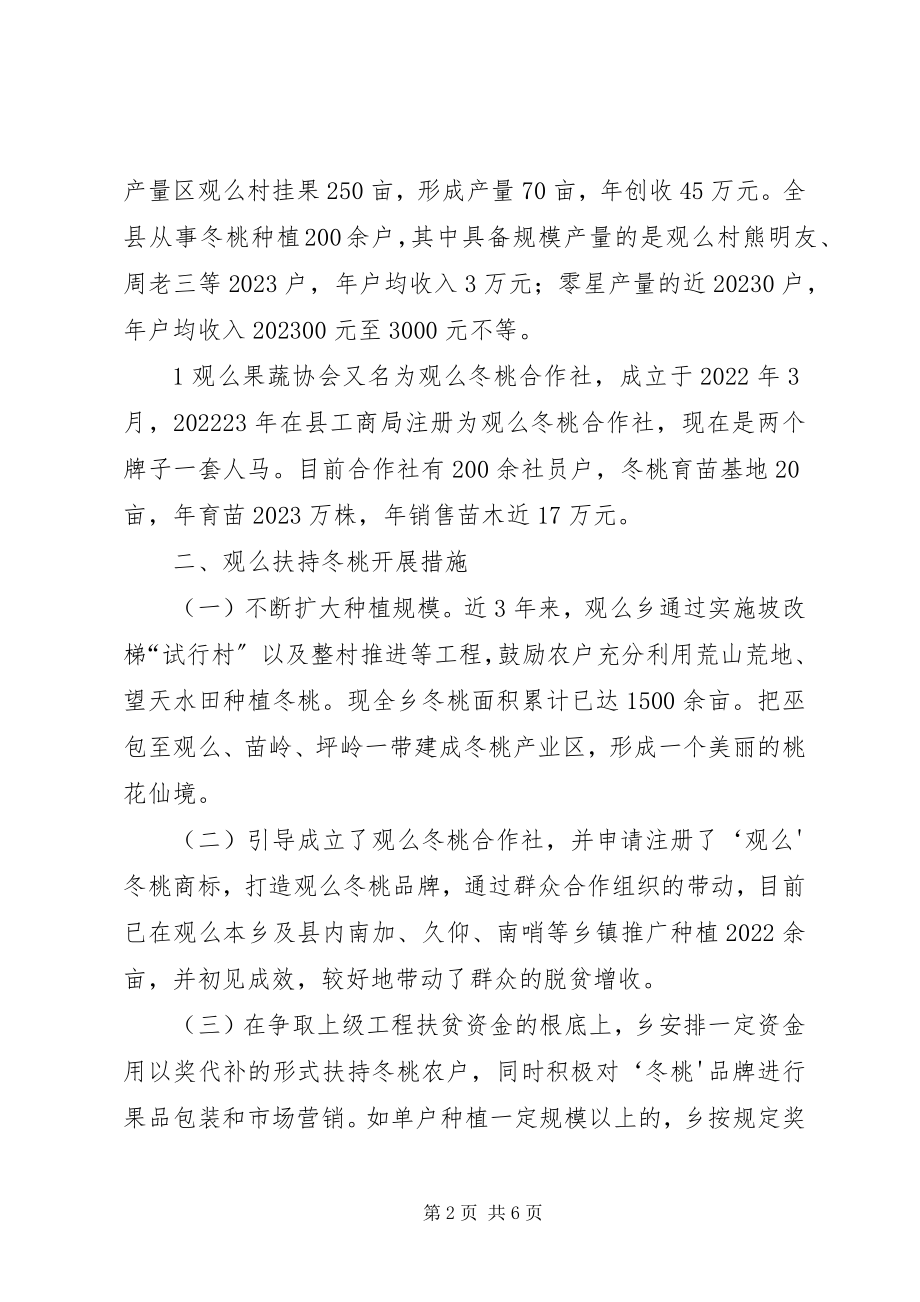 2023年观么冬桃产业发展存在新情况新问题及对策建议[.docx_第2页