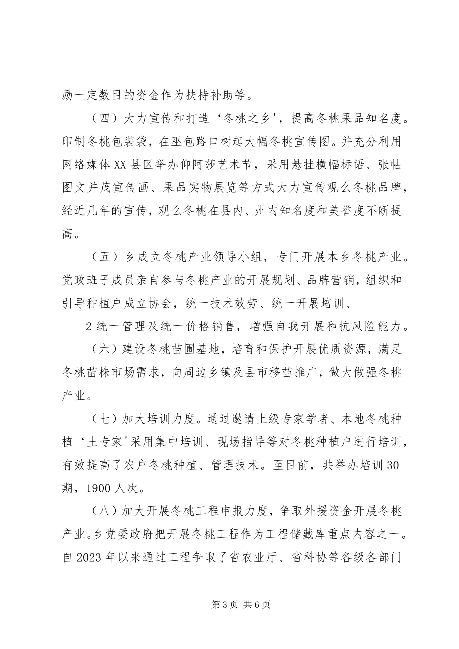 2023年观么冬桃产业发展存在新情况新问题及对策建议[.docx_第3页