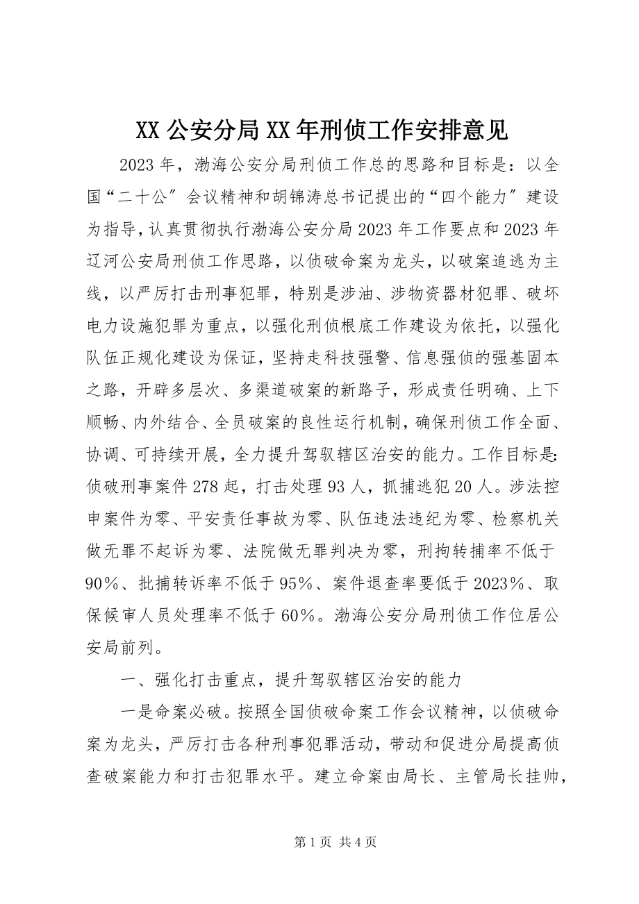 2023年XX公安分局刑侦工作安排意见新编.docx_第1页