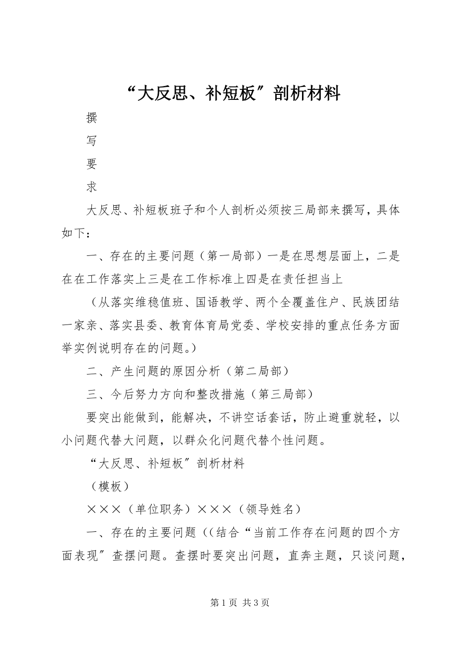 2023年“大反思补短板”剖析材料新编.docx_第1页