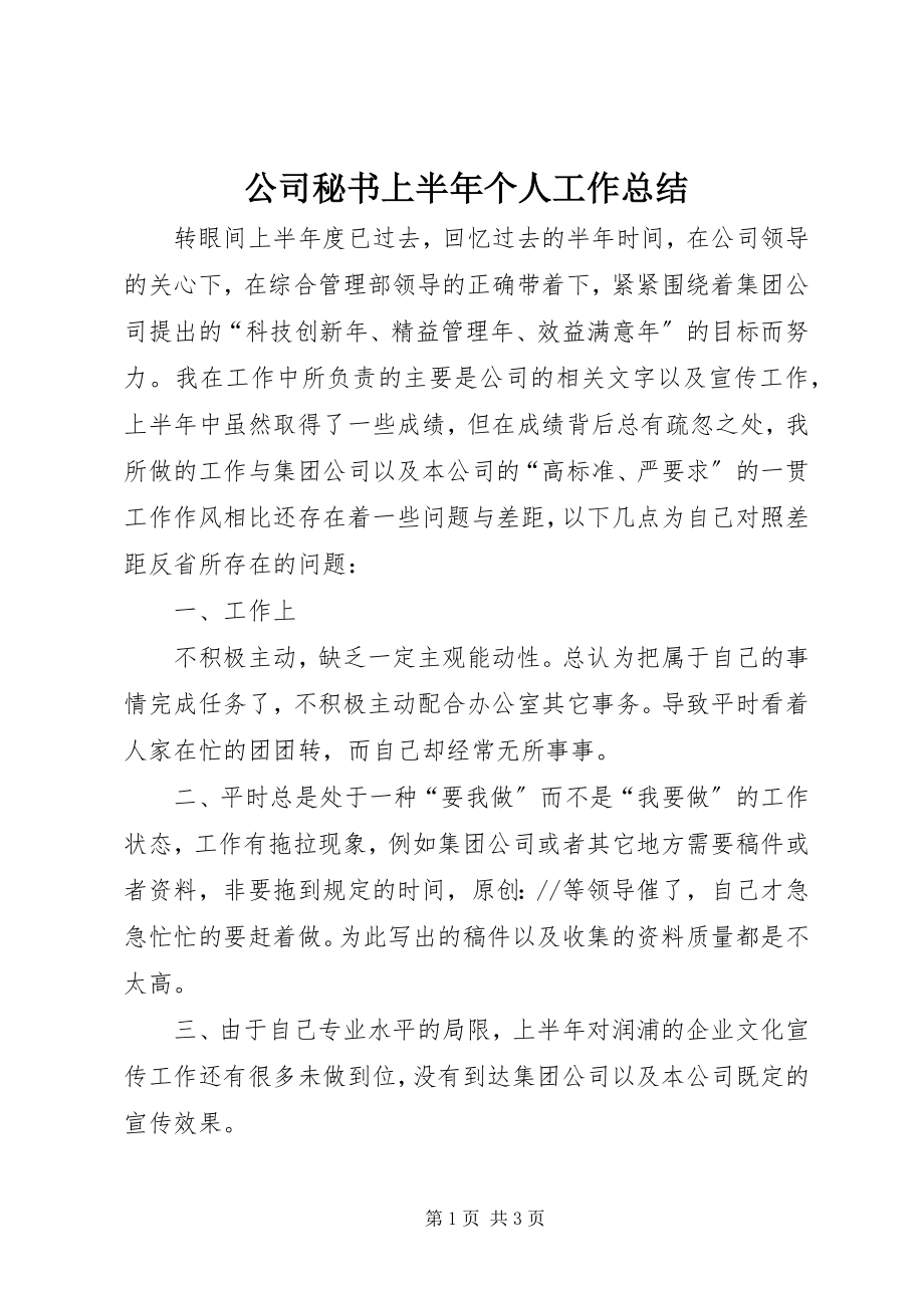 2023年公司秘书上半年个人工作总结.docx_第1页