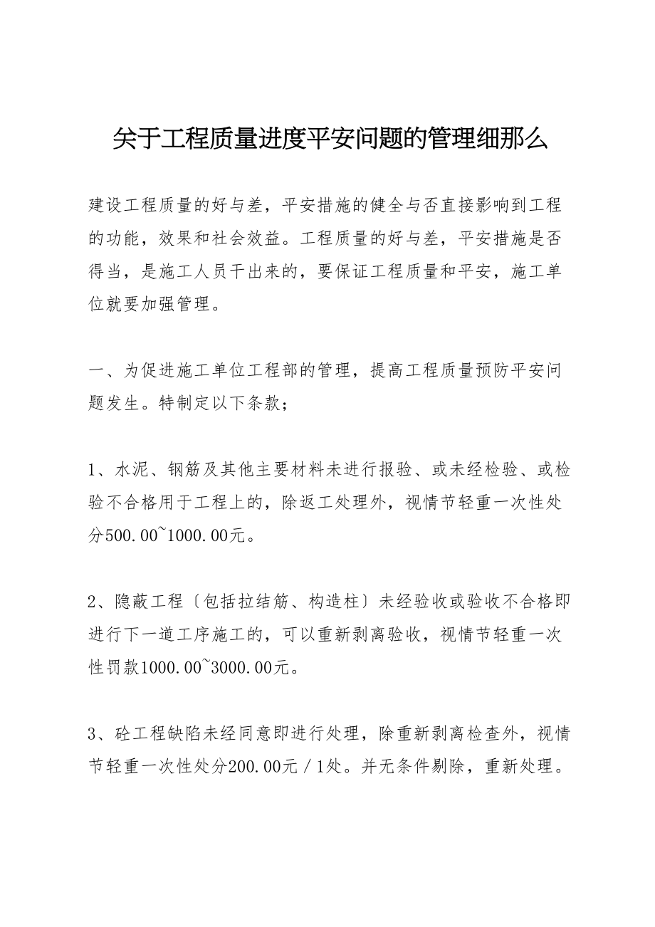 2023年关于工程质量进度安全问题的管理细则.doc_第1页