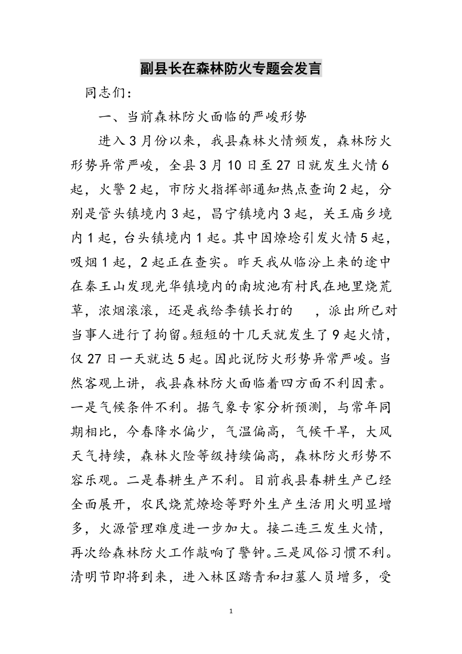 2023年副县长在森林防火专题会发言范文.doc_第1页