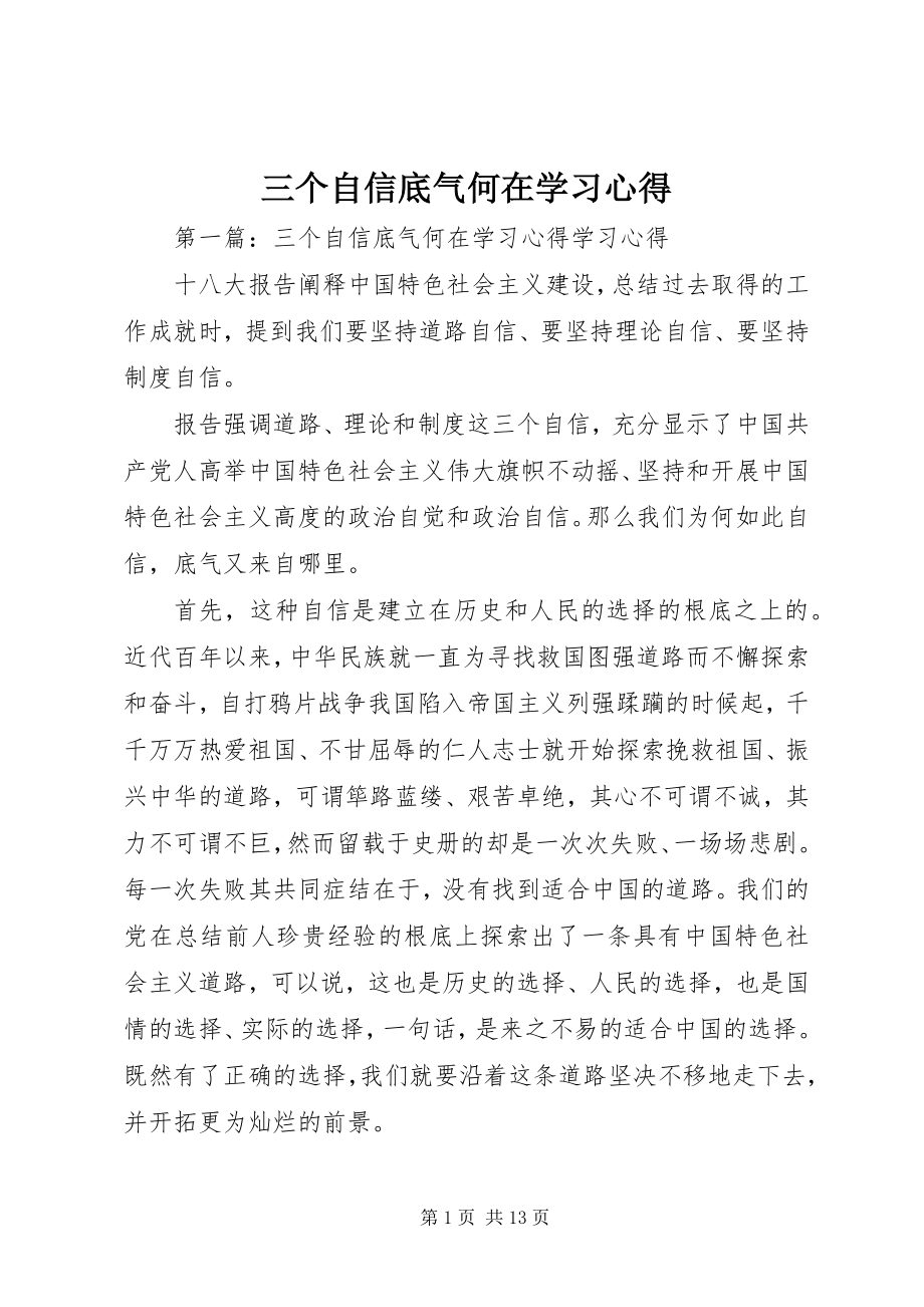 2023年三个自信底气何在学习心得.docx_第1页