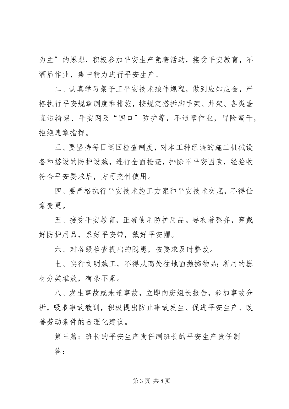 2023年架子工班长的安全生产责任制.docx_第3页