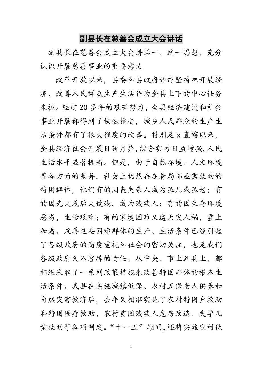 2023年副县长在慈善会成立大会讲话范文.doc_第1页