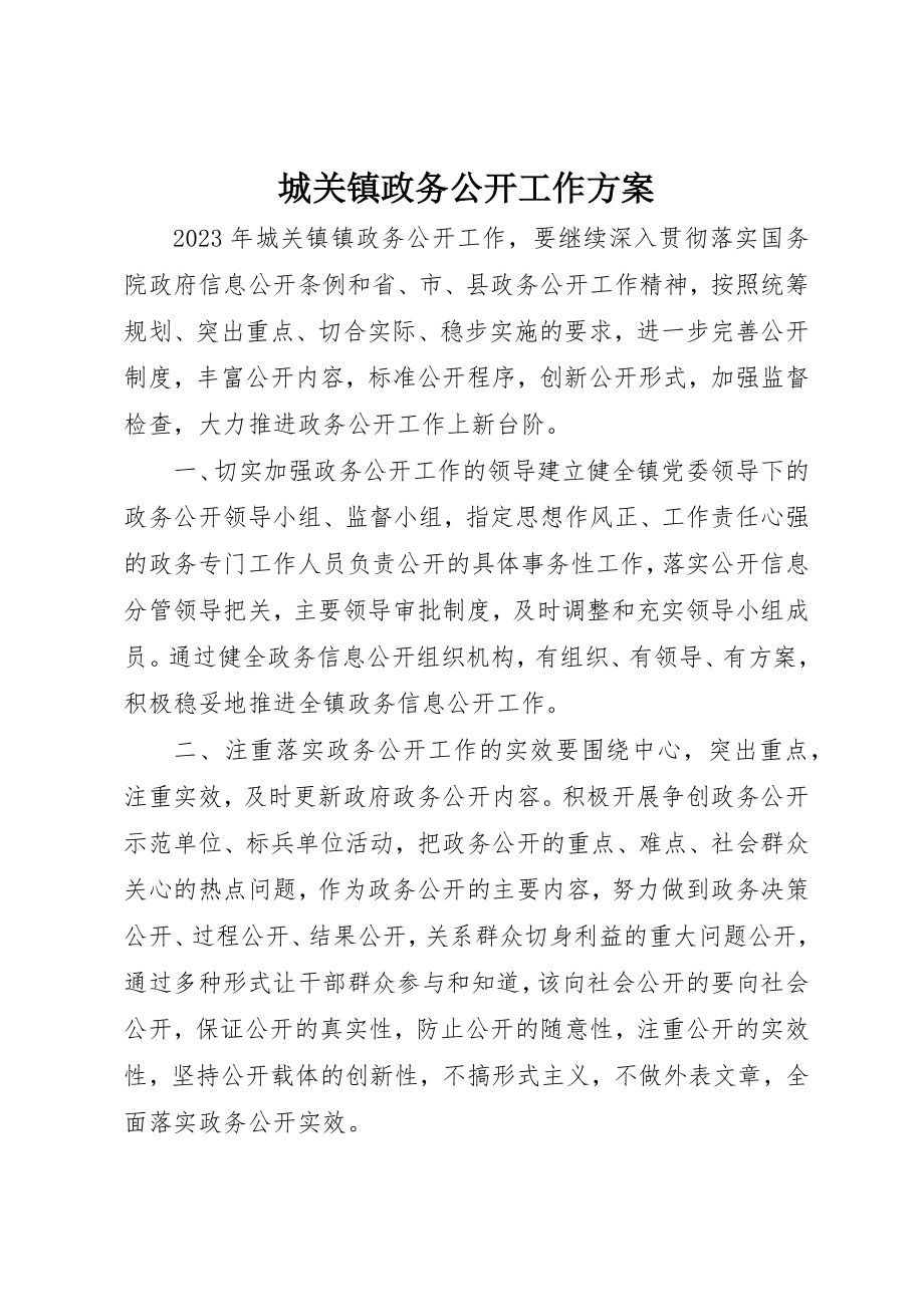 2023年城关镇政务公开工作计划.docx_第1页