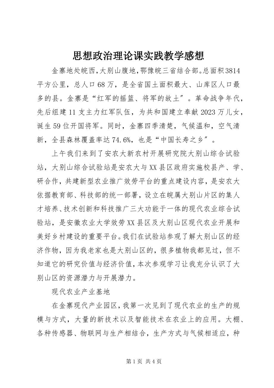 2023年思想政治理论课实践教学感想.docx_第1页