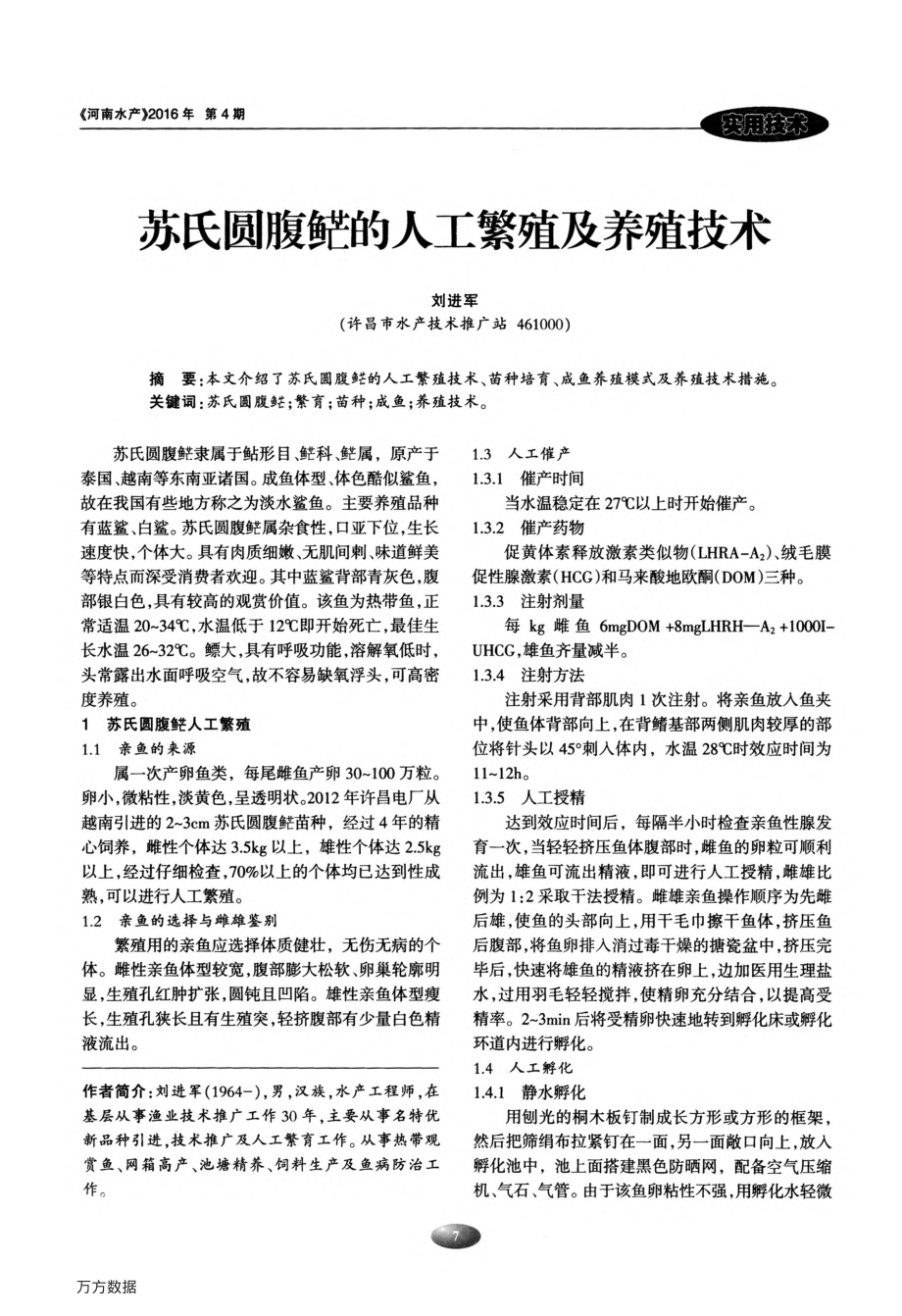 207苏氏圆腹(鱼芒)的人工繁殖及养殖技术.pdf_第1页