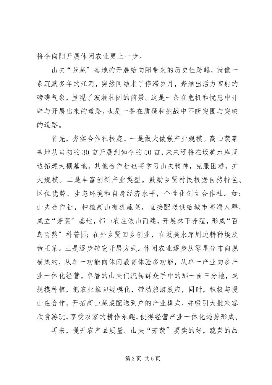 2023年学习十八大心得体会解决“三农”问题.docx_第3页