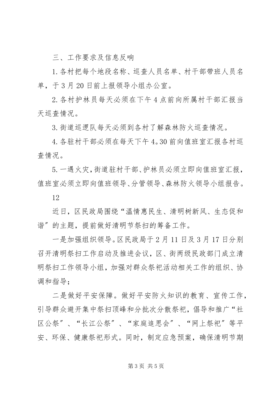 2023年清明节期间森林防火工作计划.docx_第3页