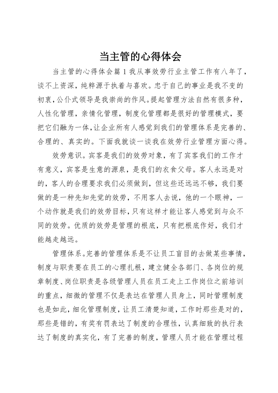 2023年当主管的心得体会新编.docx_第1页