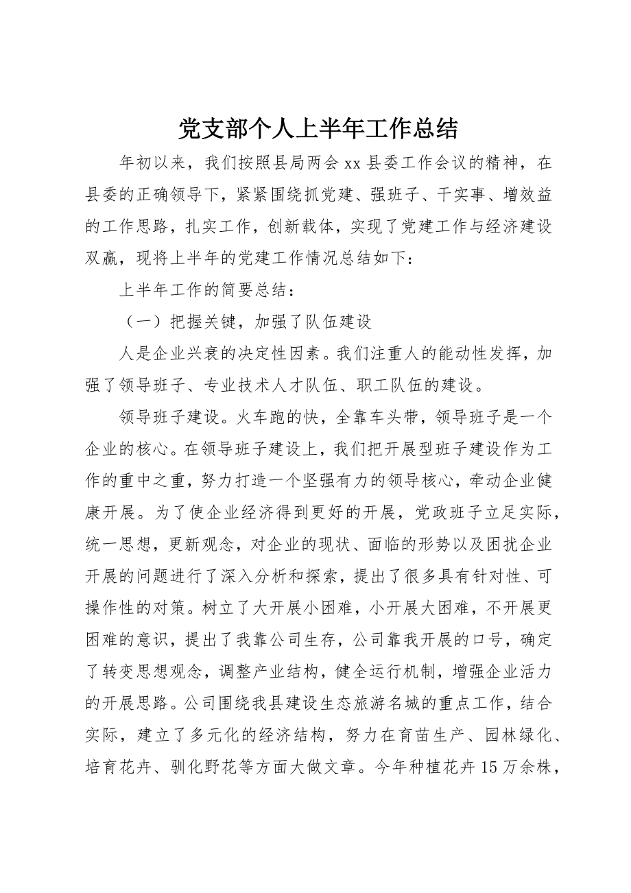 2023年党支部个人上半年工作总结.docx_第1页