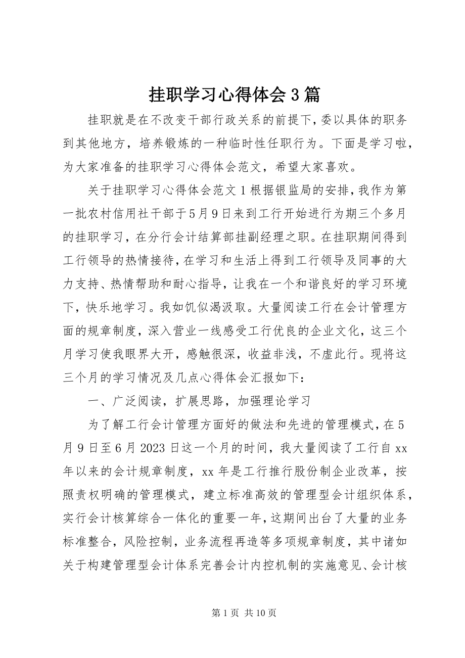 2023年挂职学习心得体会3篇.docx_第1页