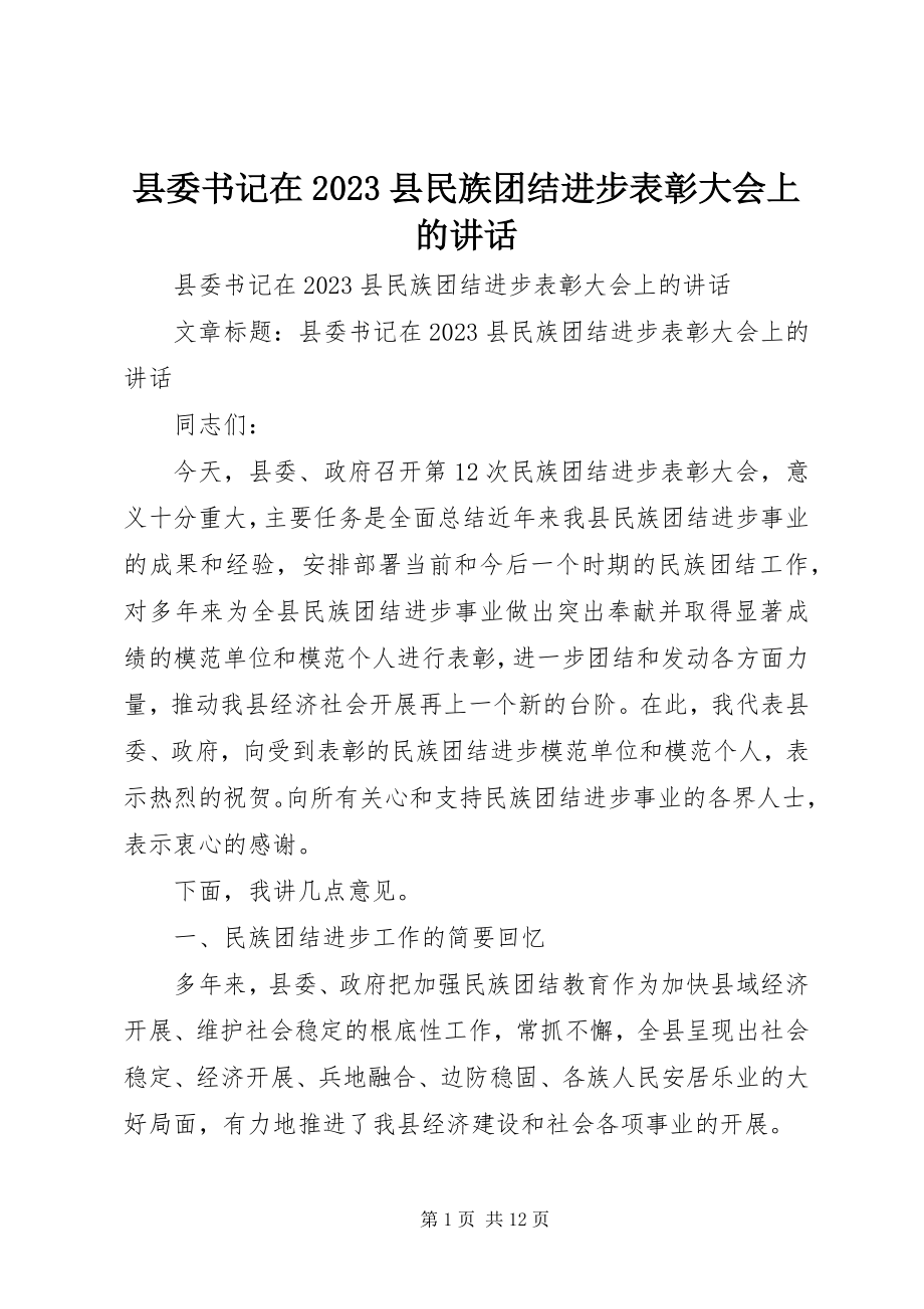 2023年县委书记在县民族团结进步表彰大会上的致辞.docx_第1页