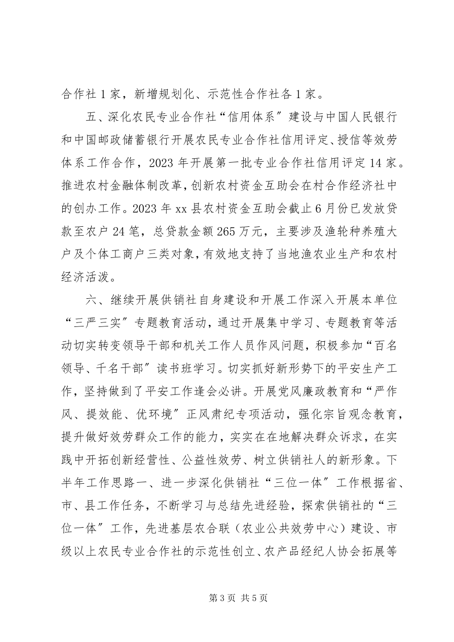 2023年供销社上半年工作总结和下半年工作思路.docx_第3页