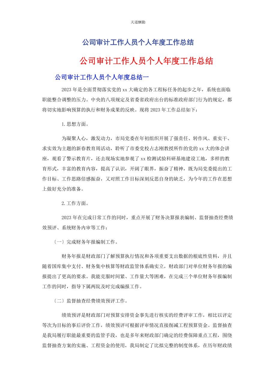 2023年公司审计工作人员个人度工作总结.docx_第1页