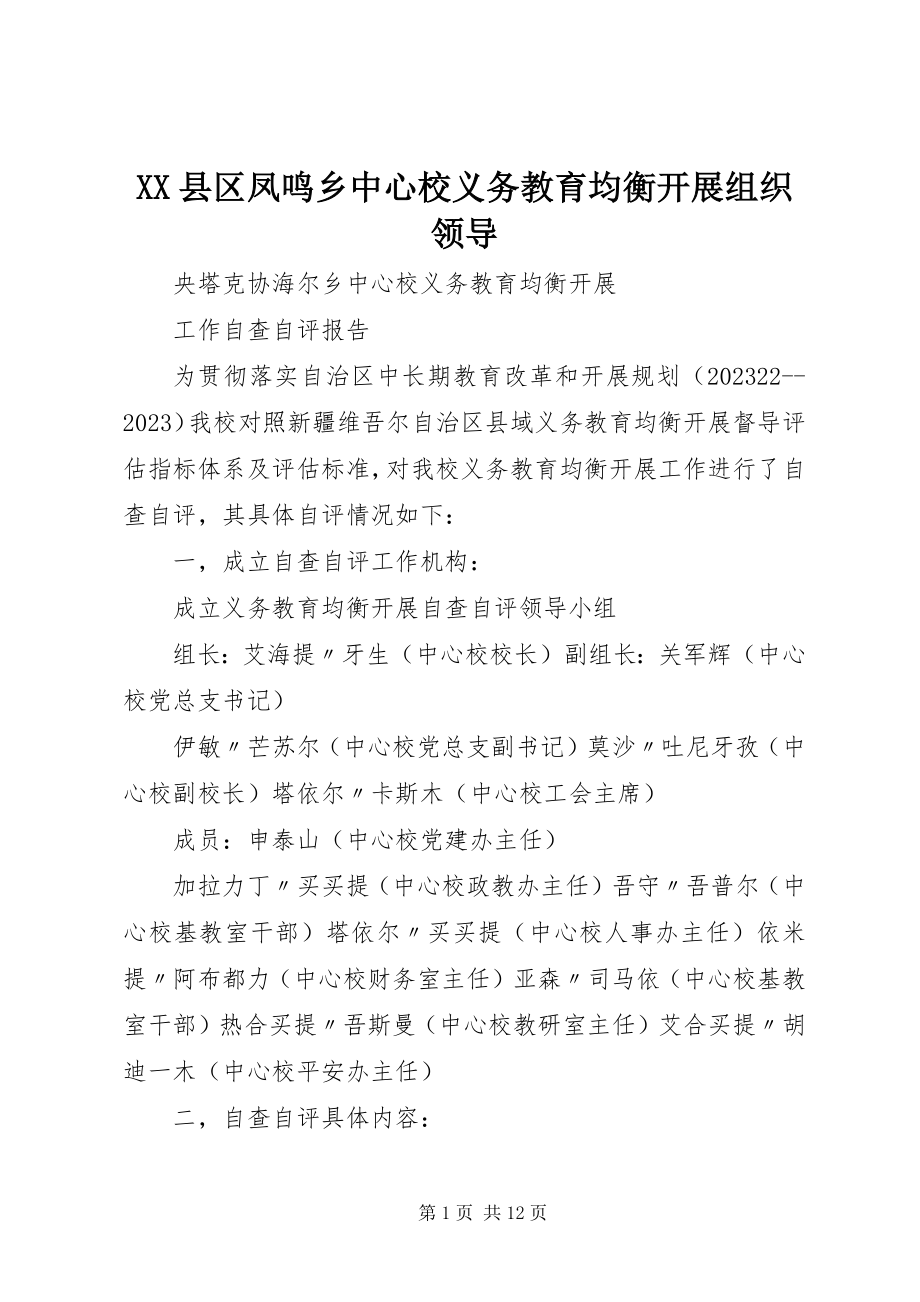 2023年XX县区凤鸣乡中心校义务教育均衡发展组织领导新编.docx_第1页